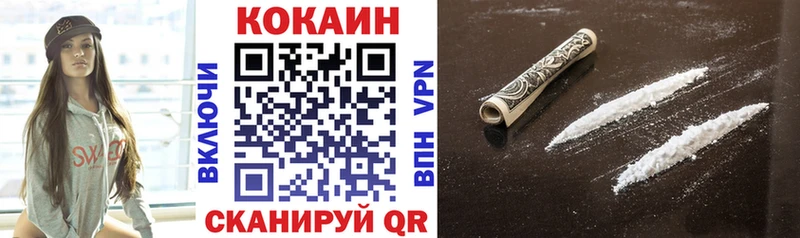 Купить закладки  Белинский  Cocaine Fish Scale 