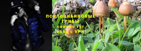 бутират Кинешма
